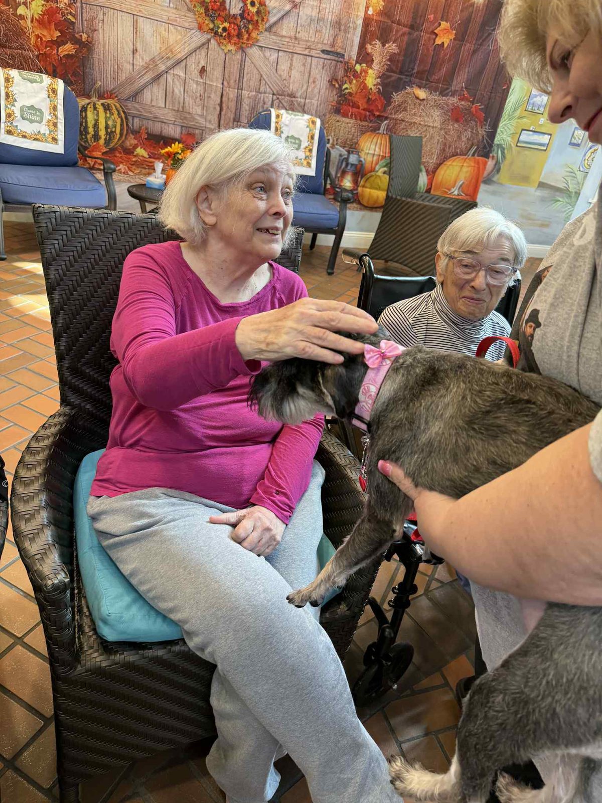 Pet Therapy Visits